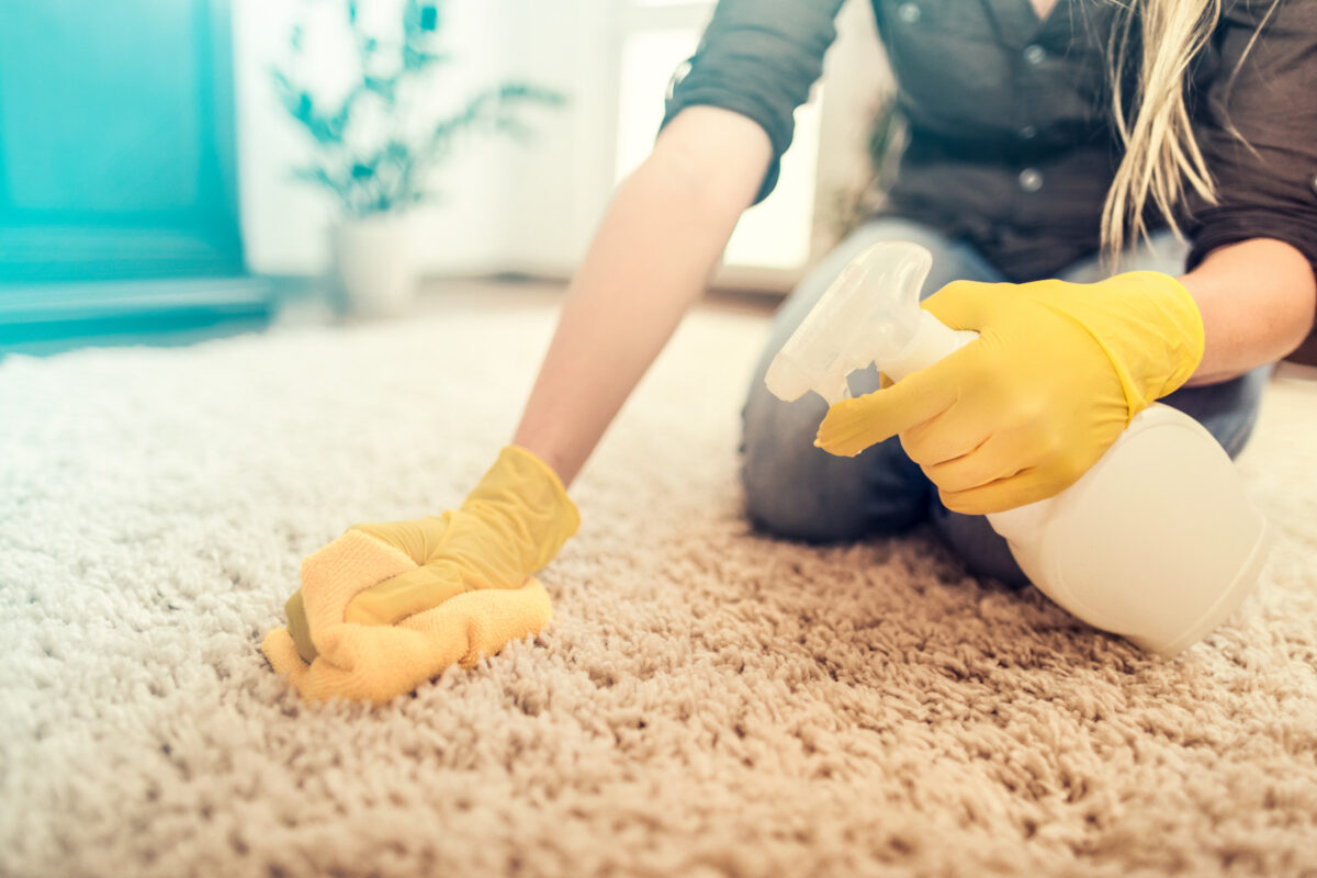 Albuquerque carpet cleaning services